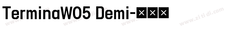 TerminaW05 Demi字体转换
